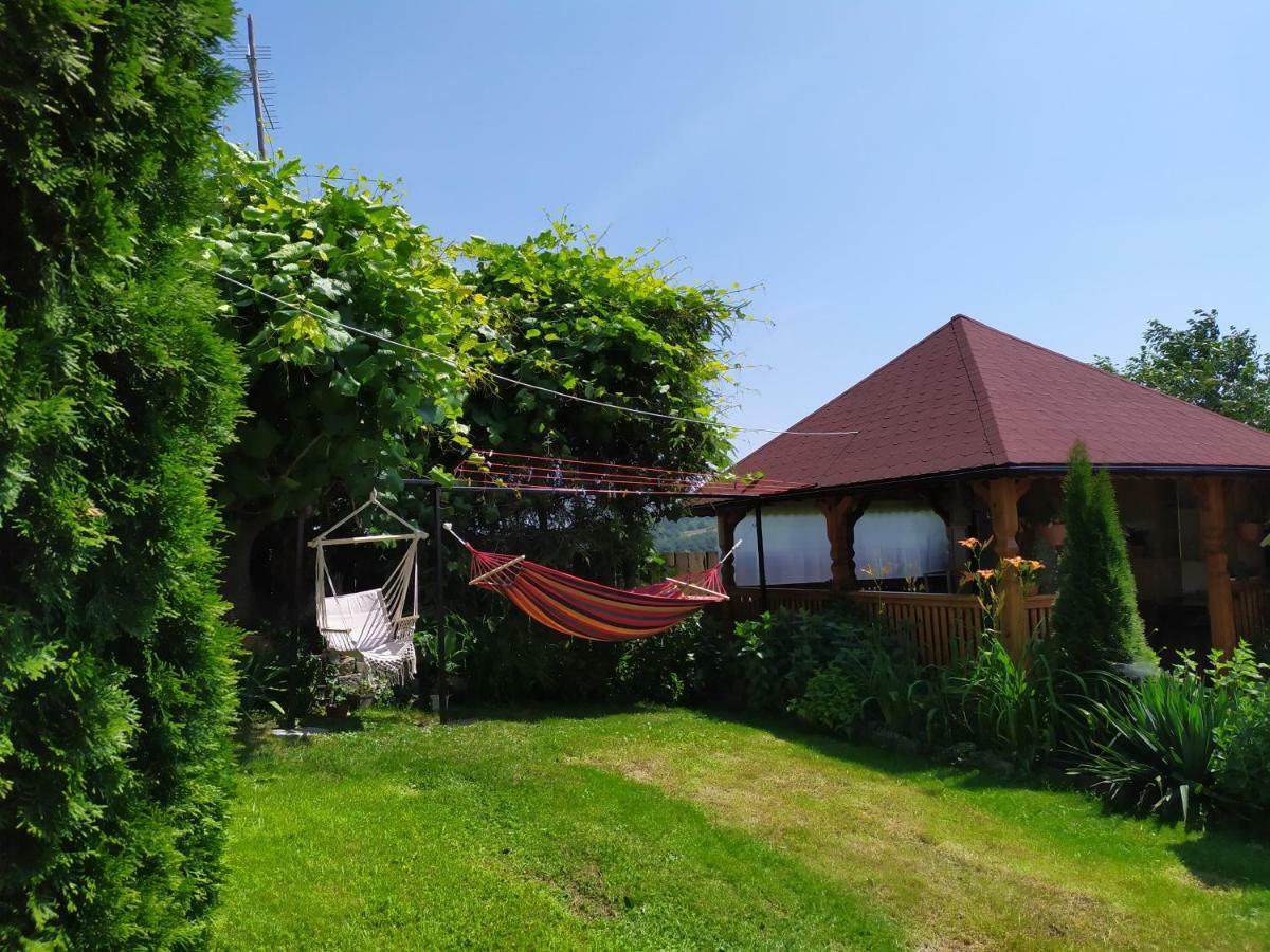 Agroturystyka Jacnia 外观 照片
